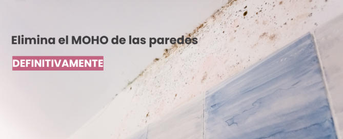 Pintura Antimoho