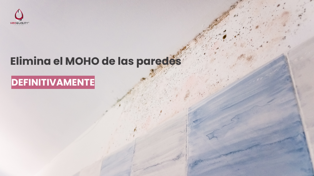 Pintura Antimoho
